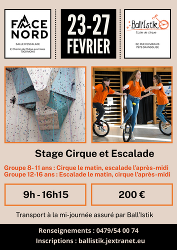 Stage cirque-escalade